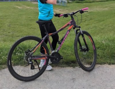 Krádež Bicykla 