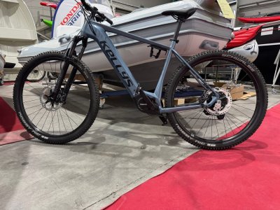 Krádež Bicykla 